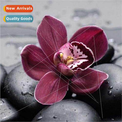 Orchids diamond painting full diamonds paste diamond simple