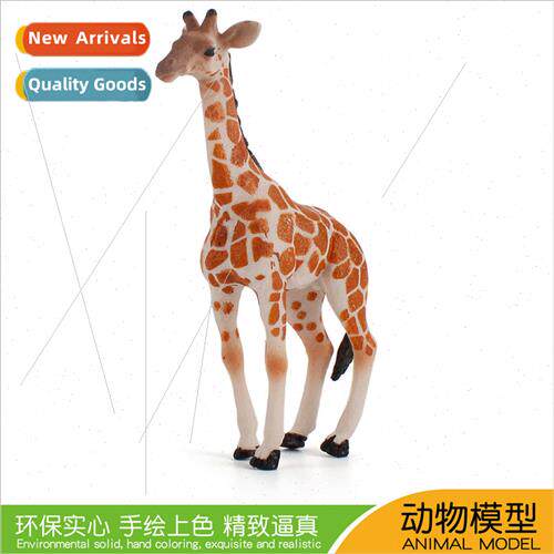Forest wildlife model children puzzle science education stat