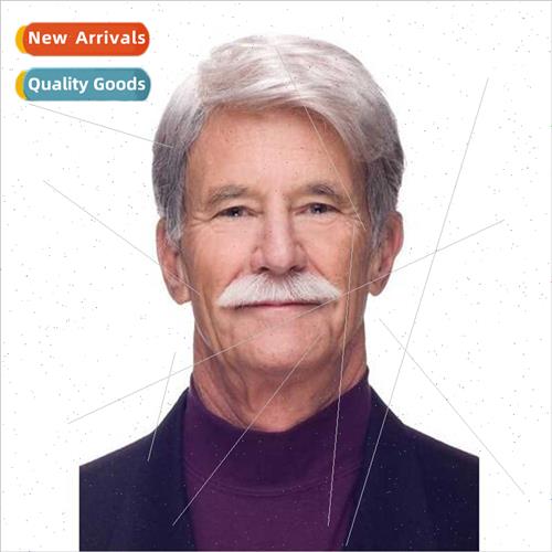 short wig fluffy parted handsome gradient men wig