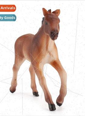 Wildlife Model Wild Horses ThousMile Horses Static Microscop