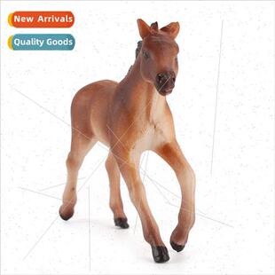 Wildlife Model Wild Horses ThousMile Horses Static Microscop