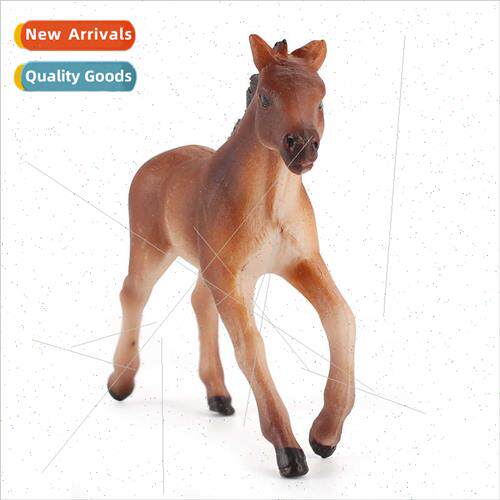 Wildlife Model Wild Horses ThousMile Horses Static Microscop