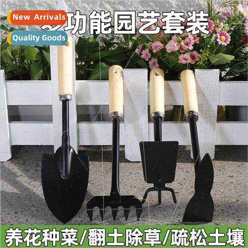 Home planting flowers to catch the sea tools succulent small