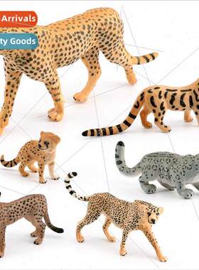 Wildlife Leopard Model Cheetah Clouded Leopard Snow Leopard