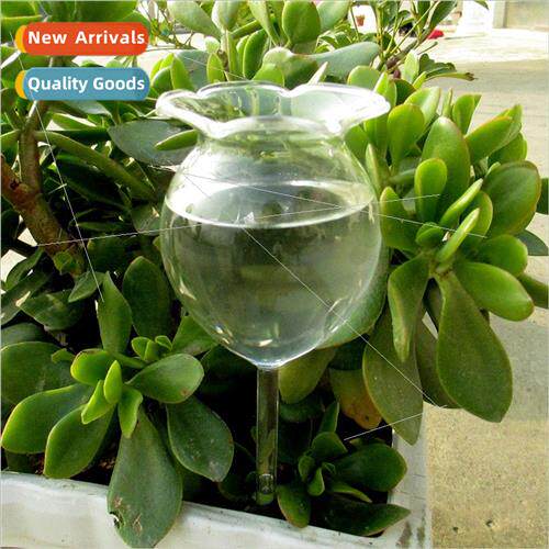 1 Shapes House Plants Flowers Water Feeder Automatic  W
