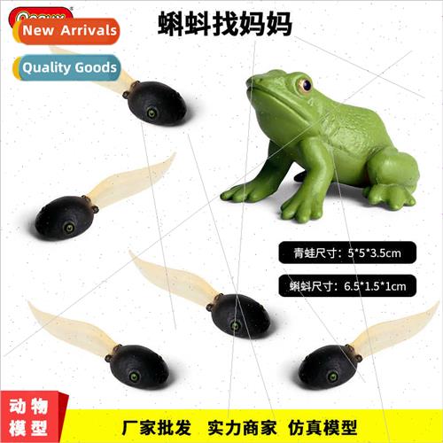 Cognitive teaching aids tadpole looking适用mother children s