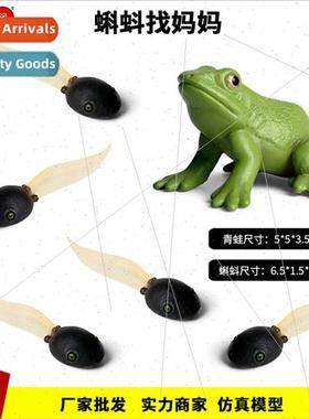 Cognitive teaching aids tadpole looking适用mother children s