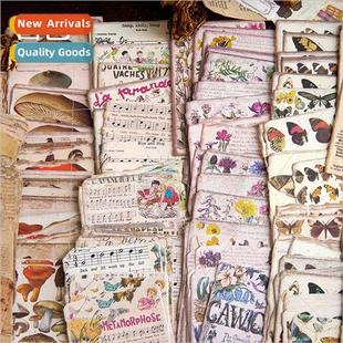 material paper vintage Old butterfly memoir flowers han book
