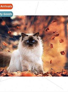 Diamond painting new DIY woodlcat full round diamond handmad