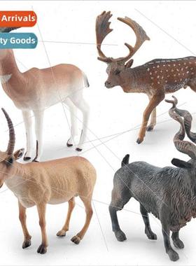 Pale antelope male fallow deer high nose antelope twisted ho