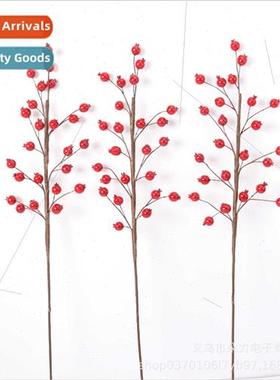 Mini pomegranate fru simulation branch simulation plant phot