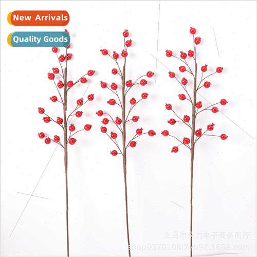 Mini pomegranate fru simulation branch simulation plant phot