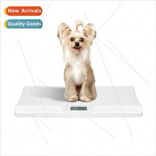 20 kilograms mail package newborn puppy pet weighing newborn