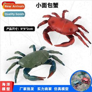 crab bread solid model cogniv mulation toys small