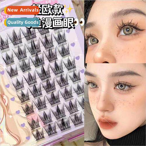 ght Europe Flying Fish Manga Eyes Big Eyes Makeup Lashes Sof
