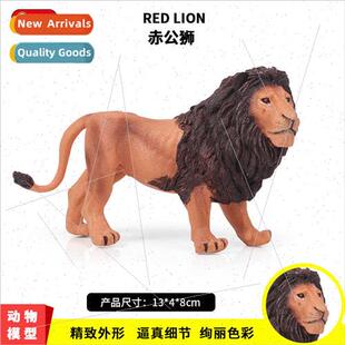 zoo model wildlife African red male lion mulation