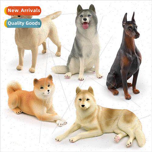 Labrador Shiba Inu Husky Doberman Pinscher model children co