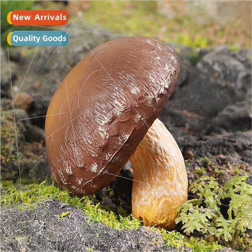 Mushroom Shiake Vegetable Model Yunnan Wild Mushroom Outdoor