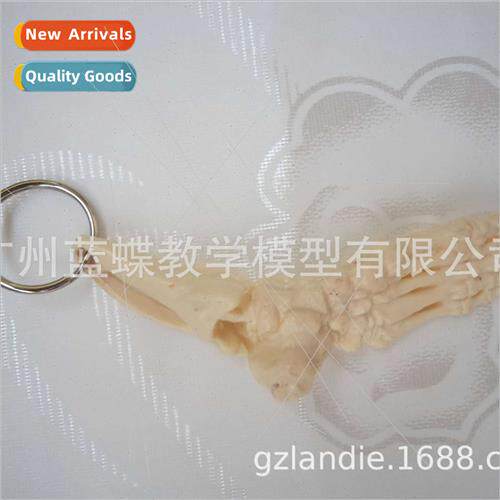 Foot Joint Joint Keychain Small Bones Keyring Human Skeleton