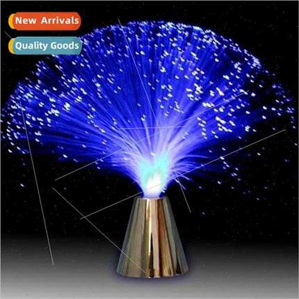 Multicolor LED Fiber Optic ght ght Lamp Holiday Christma