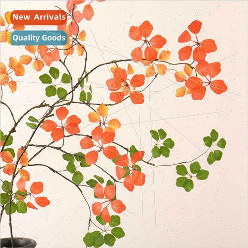 New home decorative soft furnishings landscaping plant leave