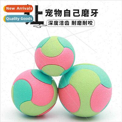 Pet dog toys colorful bouncy ball chewing grinding teeth cle