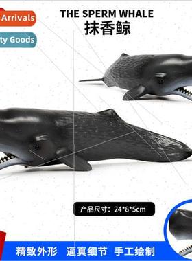 Children cognive simulation solid sperm whale marine life an