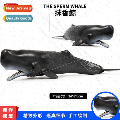 Children cognive simulation solid sperm whale marine life an