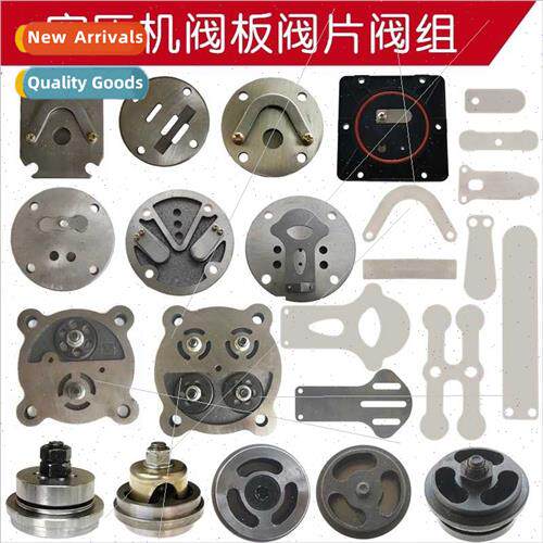 Oil-free air compressor valve plate belt piston pump valve p