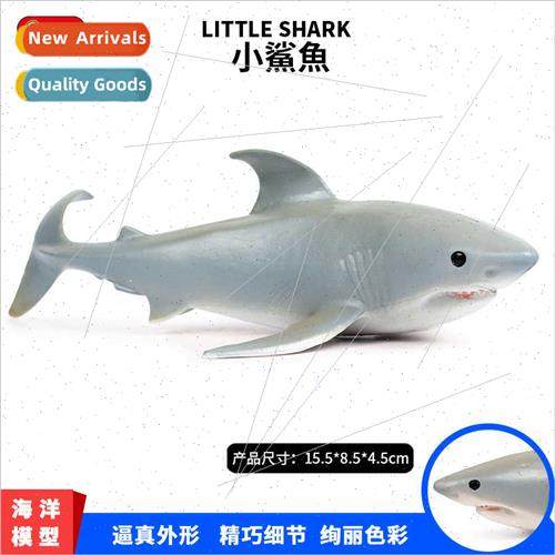 solid sea life animals underwater creatures sharks great whe
