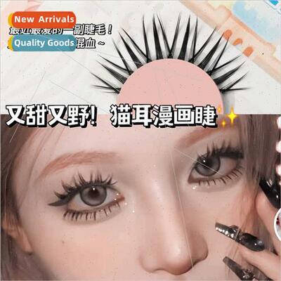 Cat Ear Manga Eyelashes ~ Whole Terms Natural Imp Sweet Wild