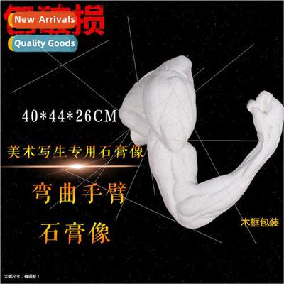 Anatomy a bent arm plaster cast plaster head model five sens