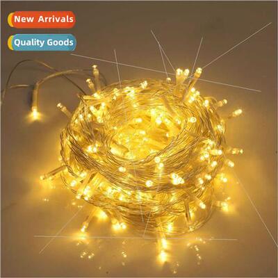 Indoor led lights holiday wedding decoration colorful lights