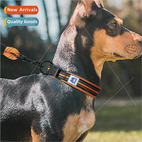 Dog collar dog collar small dog collar large dog collar anti