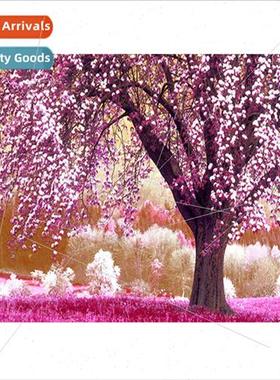 New small size point drill cross stch decorative painting pi