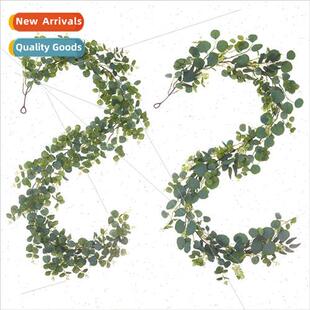 Eucalyptus Eucalyptus Leaf Money Leaf Rattan Spring Wedding