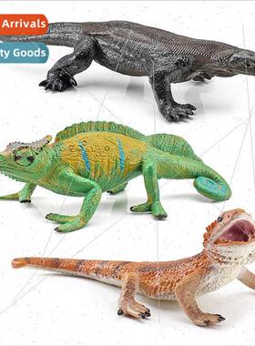 Small desert chameleon lizard lizard amphibian model solid s