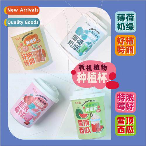Spring wild at home manzana flower small potted plants offic