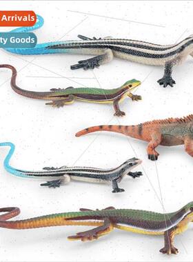 Desert est reptile chameleon grass lizard amphibian model st