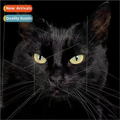 Cross Stch New DIY Cat Full Stch mple Handmade Thread Embroi