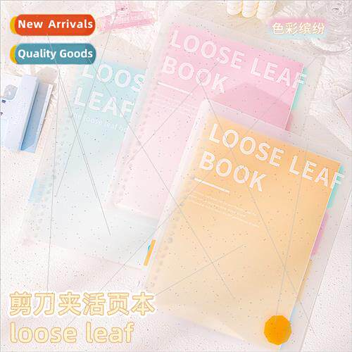 Youfan romantic unchanging b5 flipbook simple fresh pp cover
