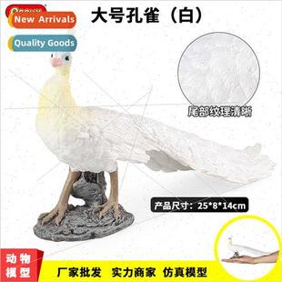 animal bird model whe tea Large cognive peacock