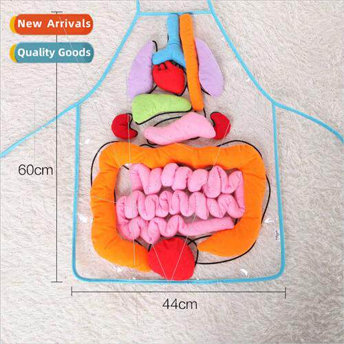Baby toys cognive human organs early education teaching aids