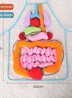 Baby toys cognive human organs early education teaching aids