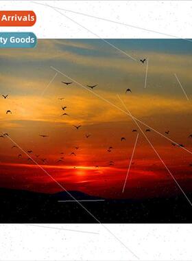 New hand-applied full diamond living room small landscape de