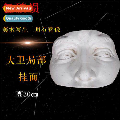 David partial plaster hanging portra art sketching plaster p