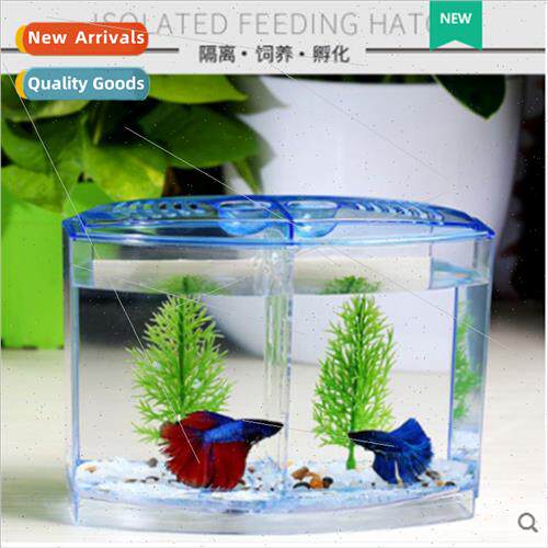 Fighting Fish Isolation Box Acrylic  Breeding Multifunctiona