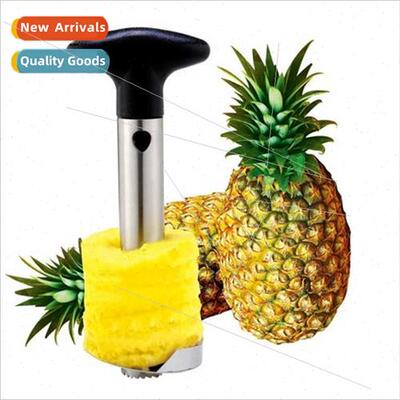 Multifunctional Stainless Steel Pineapple Peeler Pineapple P