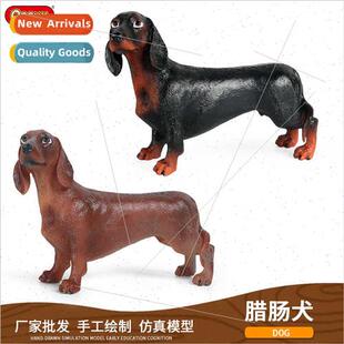 gift dog Static children dachshund things solid animal toys