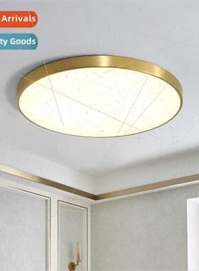 Ceiling light copper color led Scandinavian living room bedr